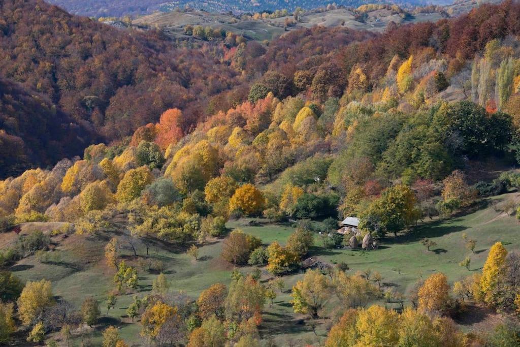 Valley View Breaza Exteriér fotografie